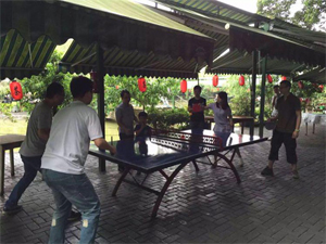 company activity picture3 